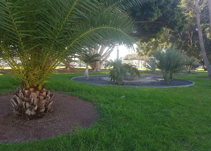 Bahamas Beside The Park And 300m To The Appartement